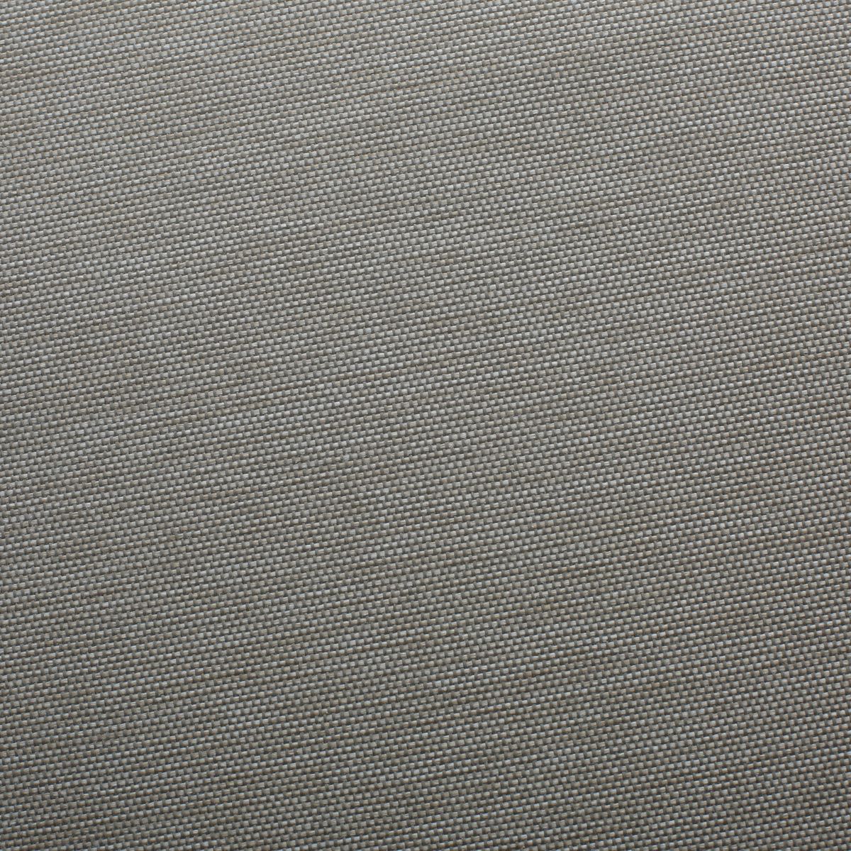 18571604