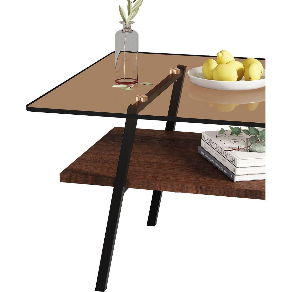 Rectangle Coffee Table, Tempered Glass Tabletop with Black Metal Legs, Modern Table for Living Room, Brown Glass