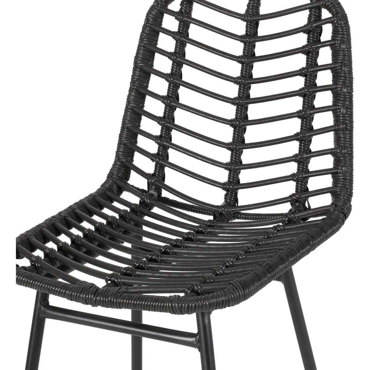 Sawtelle Outdoor Wicker Barstools (Set of 2)