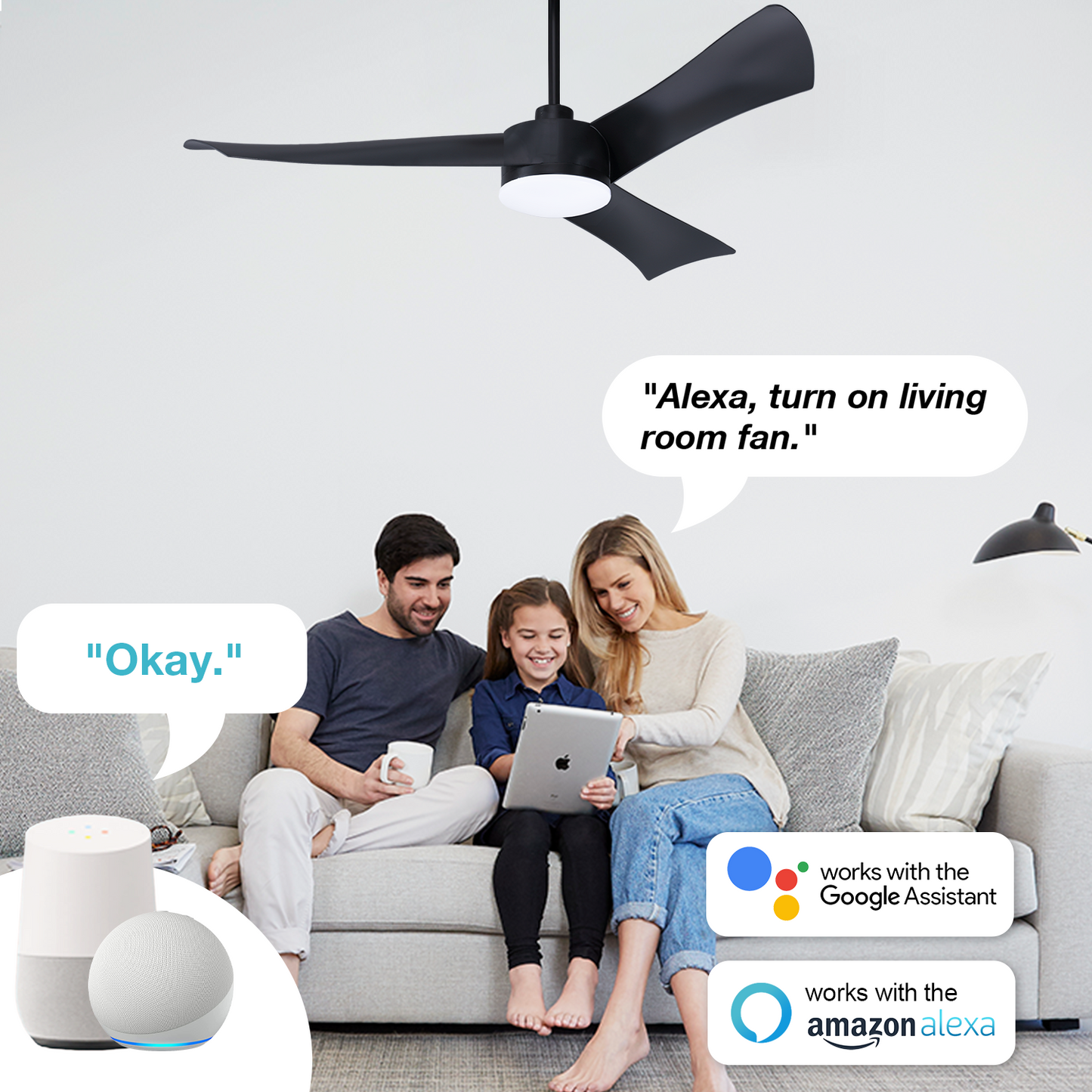 Smart Ceiling Fan