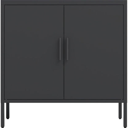 Metal Storage Cabinet with 2 Doors and 2 Adjustable Shelves, Steel Lockable Garage Storage Cabinet, Metal File Cabinet for Home Office School Gym, Black