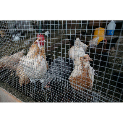 Hardware Cloth 1/2 inch 48in x 100ft 19 Gauge, Hot-dip Galvanized After Welding Chicken Wire Fence Roll Garden Plant Welded Metal Wire Fencing Roll, Rabbit Cages Snake Fence