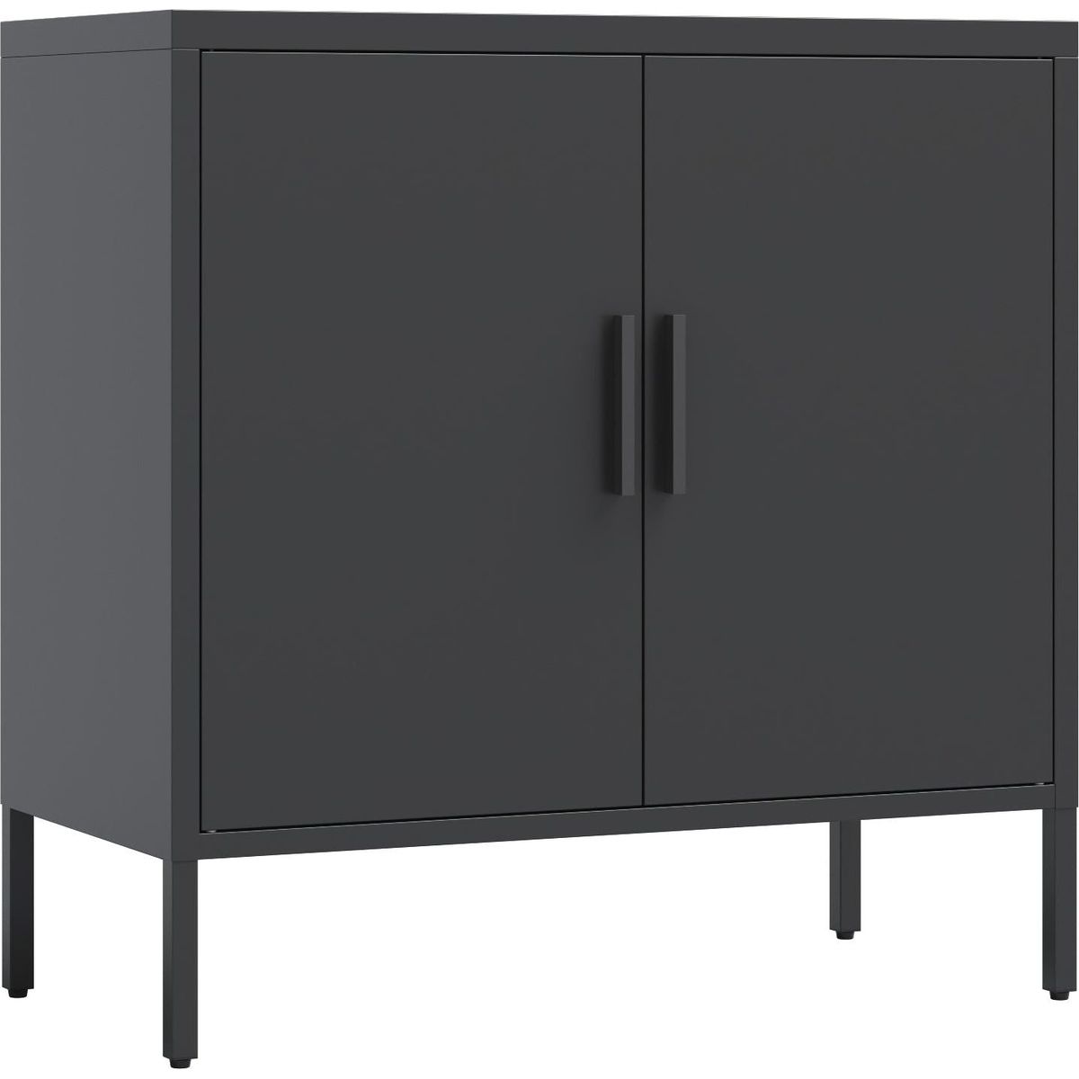 Metal Storage Cabinet with 2 Doors and 2 Adjustable Shelves, Steel Lockable Garage Storage Cabinet, Metal File Cabinet for Home Office School Gym, Black