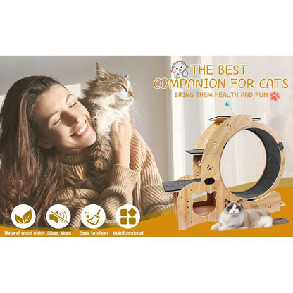 Cat Wheel 6-in-1 Cat Exercise Wheel,Upgraded Cat Wheel Exerciser for Indoor Cats,Large Cat Treadmill,Cat Running Wheel with Silent Wheel,Cat Walking Wheel Cat Furniture Cat Toys