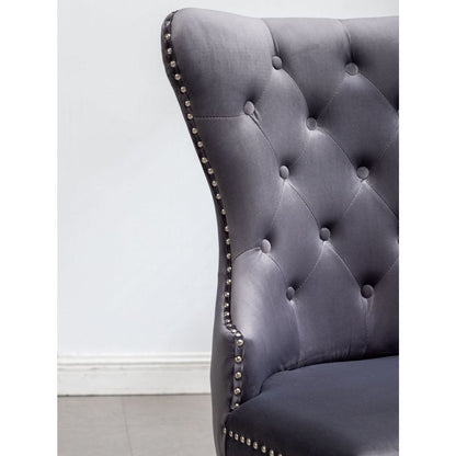 Montura Contemporary Tufted Velvet Chair with Nailhead Trim, Set of 2, Gray