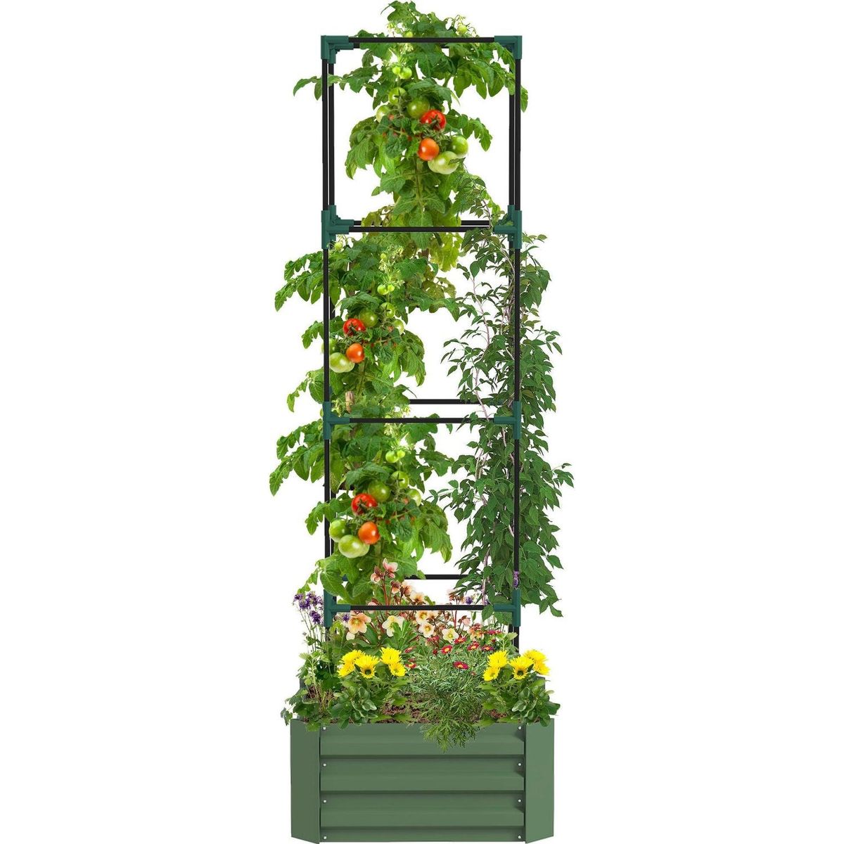 Galvanized Raised Garden Bed, 24" x 24" x 11.75" Outdoor Planter Box with Trellis Tomato Cage and Open Bottom for Climbing Vines, Vegetables, Flowers in Backyard, Garden, Patio, Green