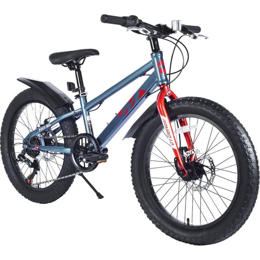 20 Inch Kids Bicycles , Fat Tire Mountain Bike for Boys and Girls Age 5 + Years ,Dual-Disc Brake,Shimano 7-Speed ,Kids Beach and Snow Bicycle