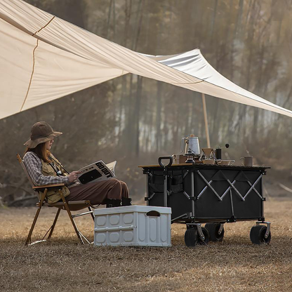 Collapsible Folding Wagon, Push Pull Foldable Beach Wagon Cart