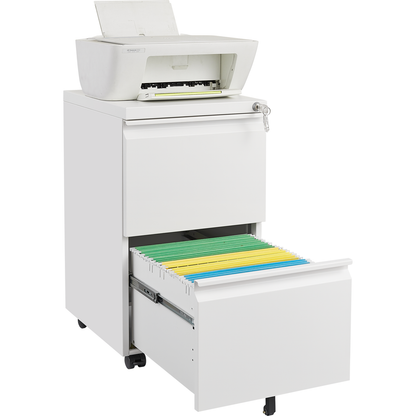 Metal 2 Drawer Mobile File Cabinet with Lock, Under Desk Office Steel Filing Cabinet, 25.6"H Legal/Letter Size Files Storage Cabinet,Black