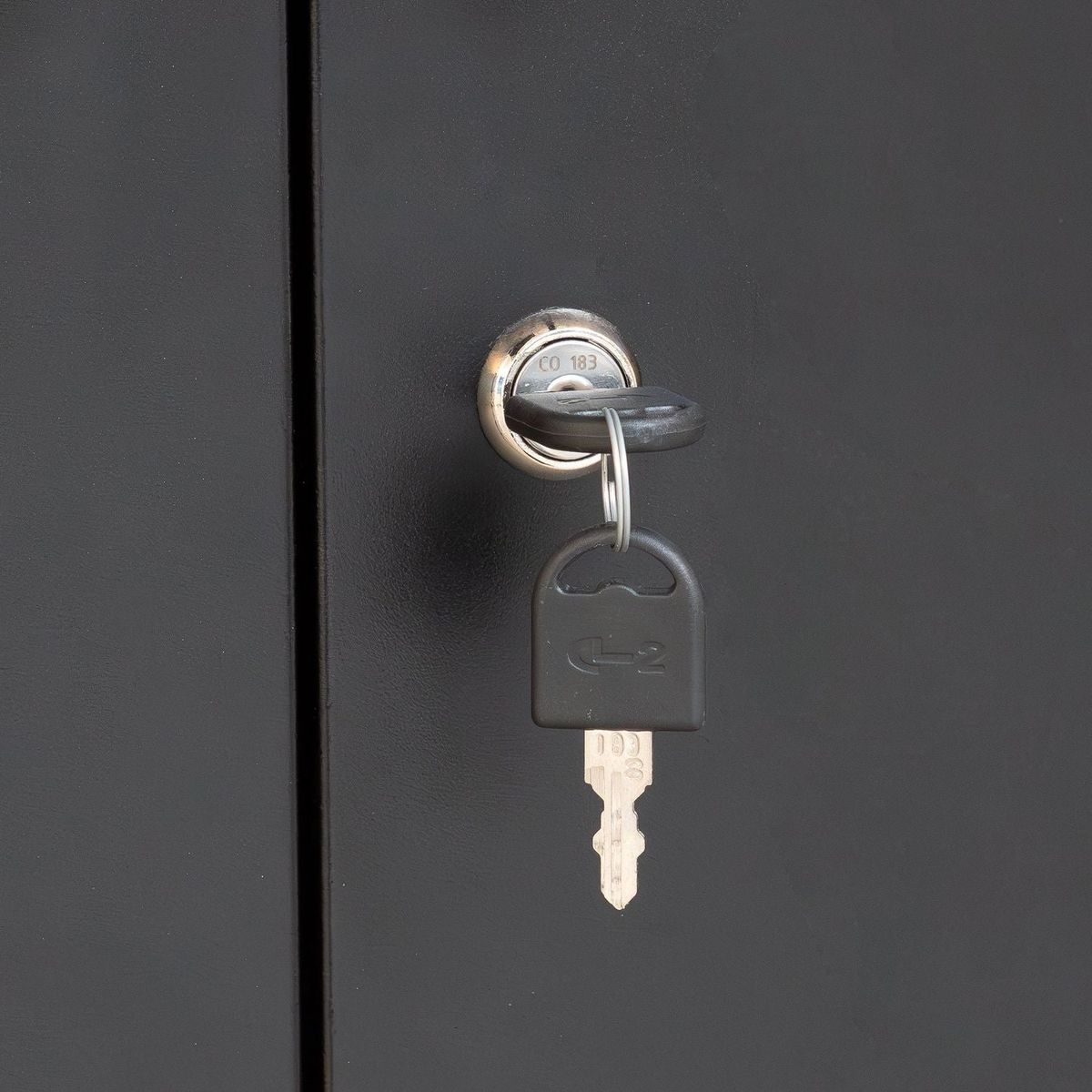 Metal Storage Cabinet with 2 Doors and 2 Adjustable Shelves, Steel Lockable Garage Storage Cabinet, Metal File Cabinet for Home Office School Gym, Black