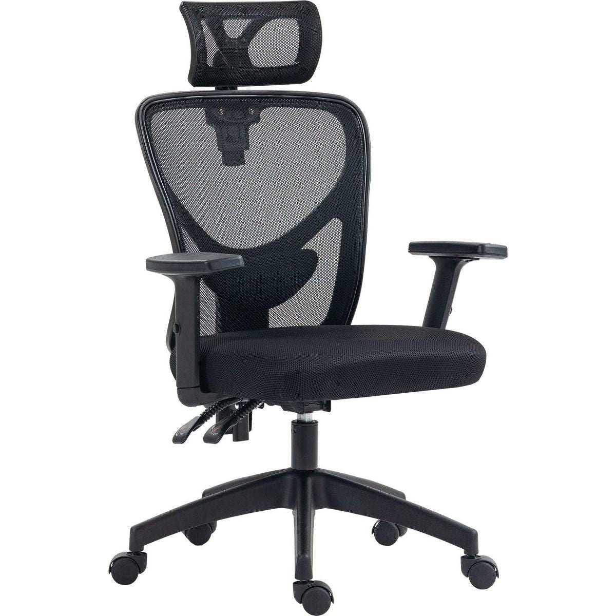 Vinsetto High Back Ergonomic Computer Home Office Chair, Mesh Task Chair with Lumbar Back Support, Reclining Function, Adjustable Headrest, Arms and Height, Black