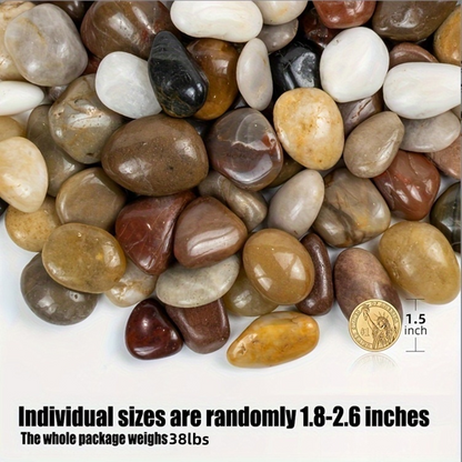 19467779