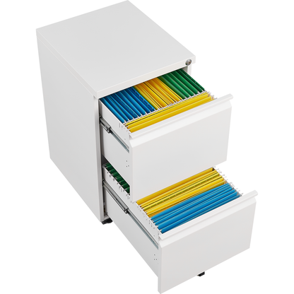 Metal 2 Drawer Mobile File Cabinet with Lock, Under Desk Office Steel Filing Cabinet, 25.6"H Legal/Letter Size Files Storage Cabinet,Black