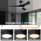 Smart Ceiling Fan