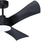 Smart Ceiling Fan