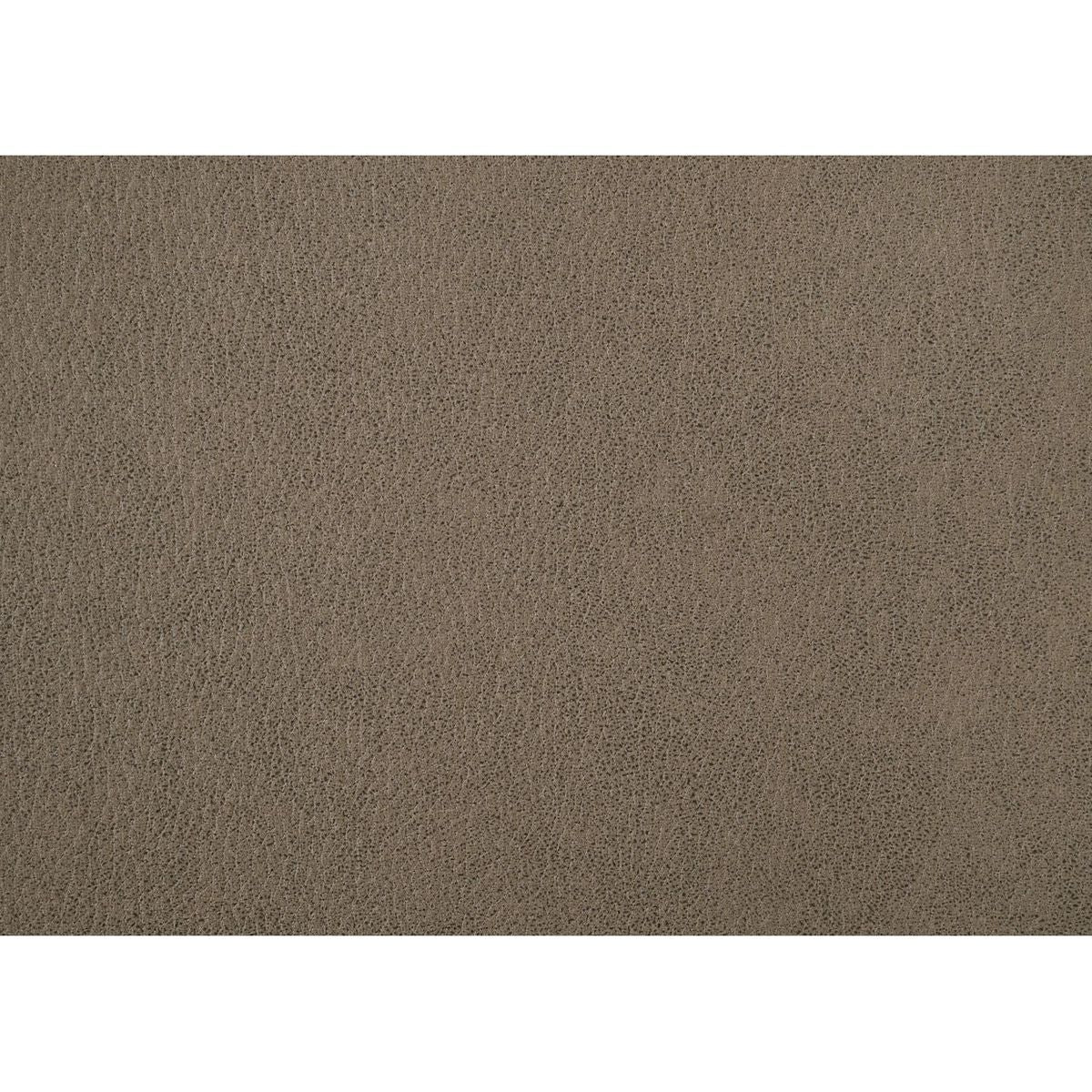 Birmingham Script Printed Driftwood Finish Counter Height Dining Chair with Nail head, Set of 2