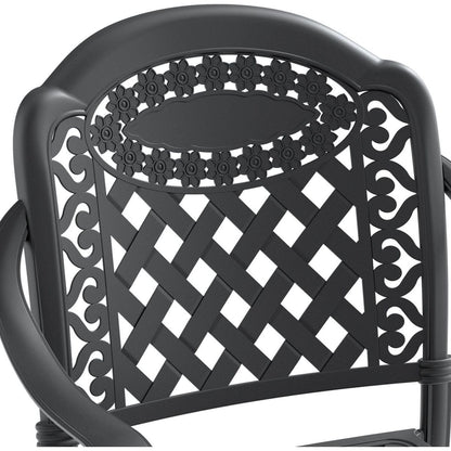 Cast Aluminum Patio Dining Chair 2PCS With Black Frame and Cushions In Random Colors