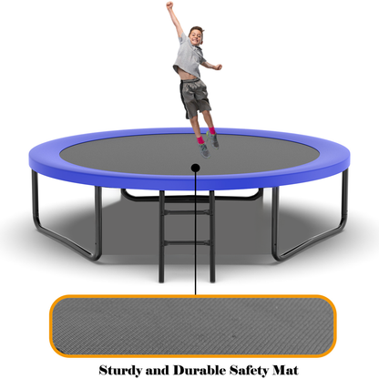 10FT Recreational Trampoline with Enclosure for Kids Adults, ASTM Approved, Outdoor Trampoline with Wind Stakes and Ladder for Kids Apex Series, 10 FOOT Trampoline