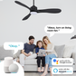 Smart Ceiling Fan