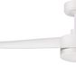 Smart Ceiling Fan