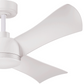 Smart Ceiling Fan