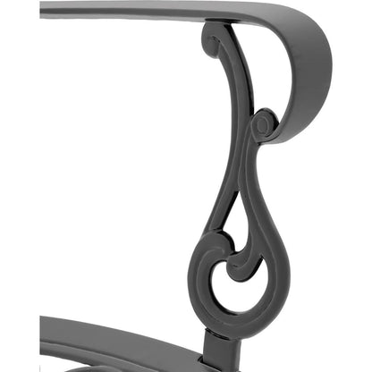 Cast Aluminum Patio Dining Chair 2PCS With Black Frame and Cushions In Random Colors