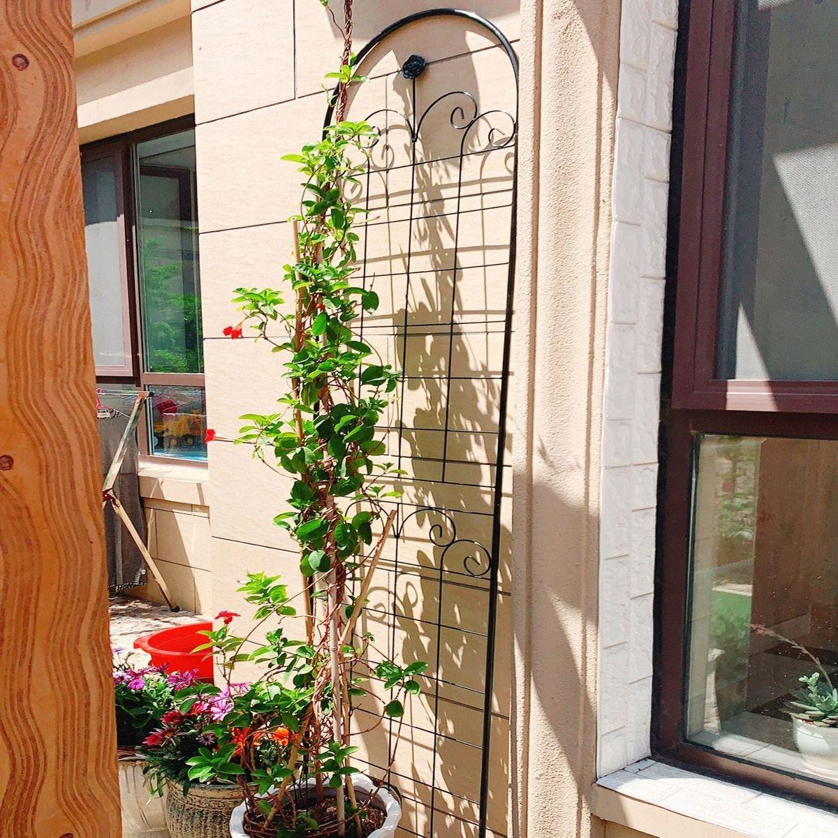 4 Pack Metal Garden Trellis for Climbing Plants Outdoor 86.7" x 19.7" Rustproof Plant Support Rose Trellis Netting Trellis Black