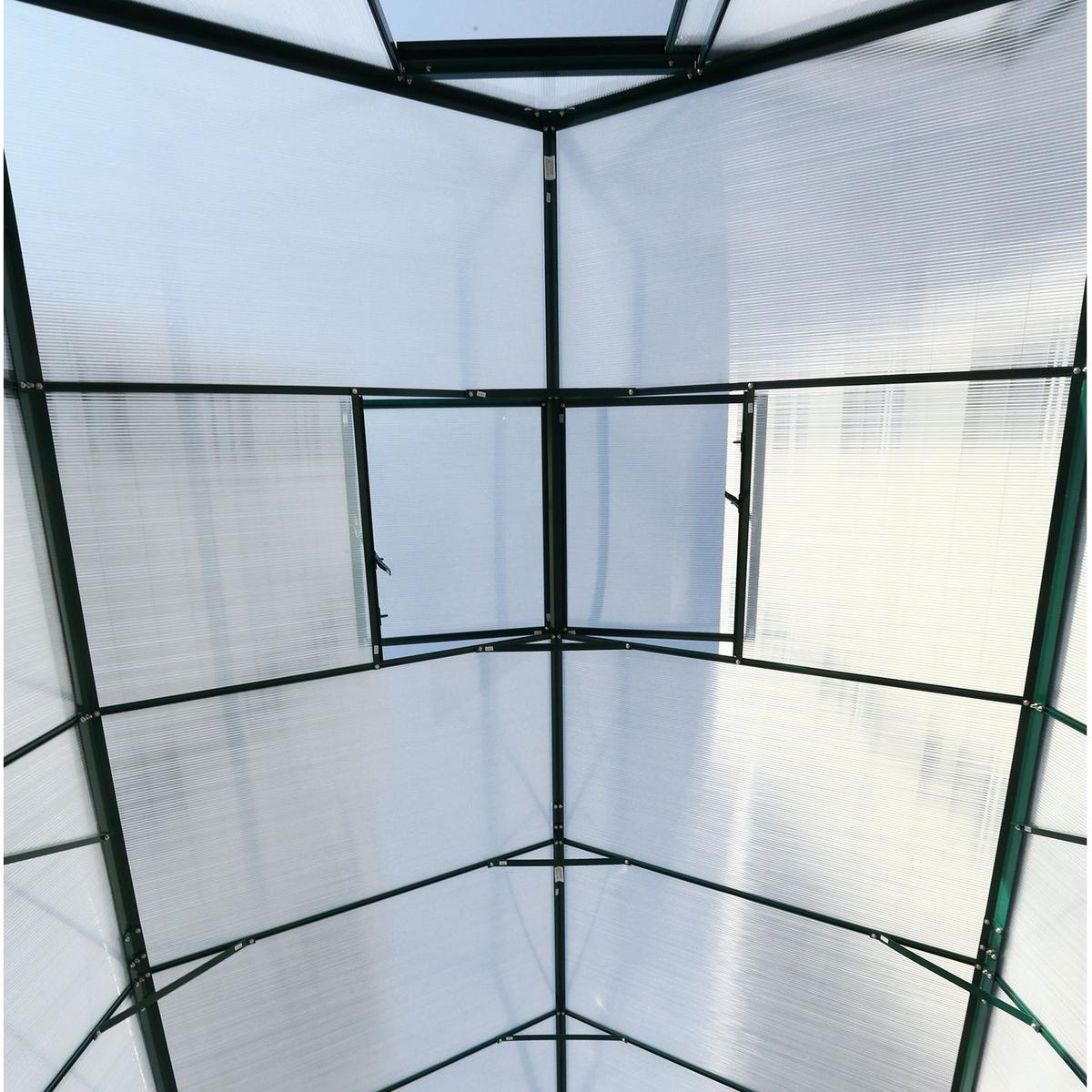 6.3'x10.2'x7' Polycarbonate Greenhouse, Heavy Duty Outdoor Aluminum Walk-in Green House Kit with Rain Gutter, Vent and Door for Backyard Garden, color green