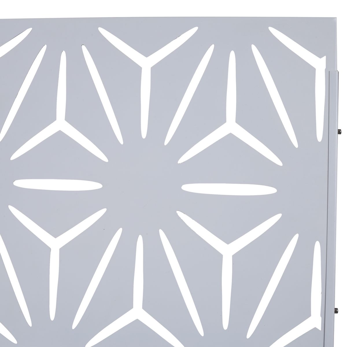 19469572