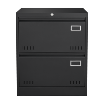 2 Drawer Metal Lateral File Cabinet with Lock,Office Vertical Files Cabinet for Home Office/Legal/Letter/A4,Locking Metal File Cabinet,Assembly Required (Black,with 2 Drawer)