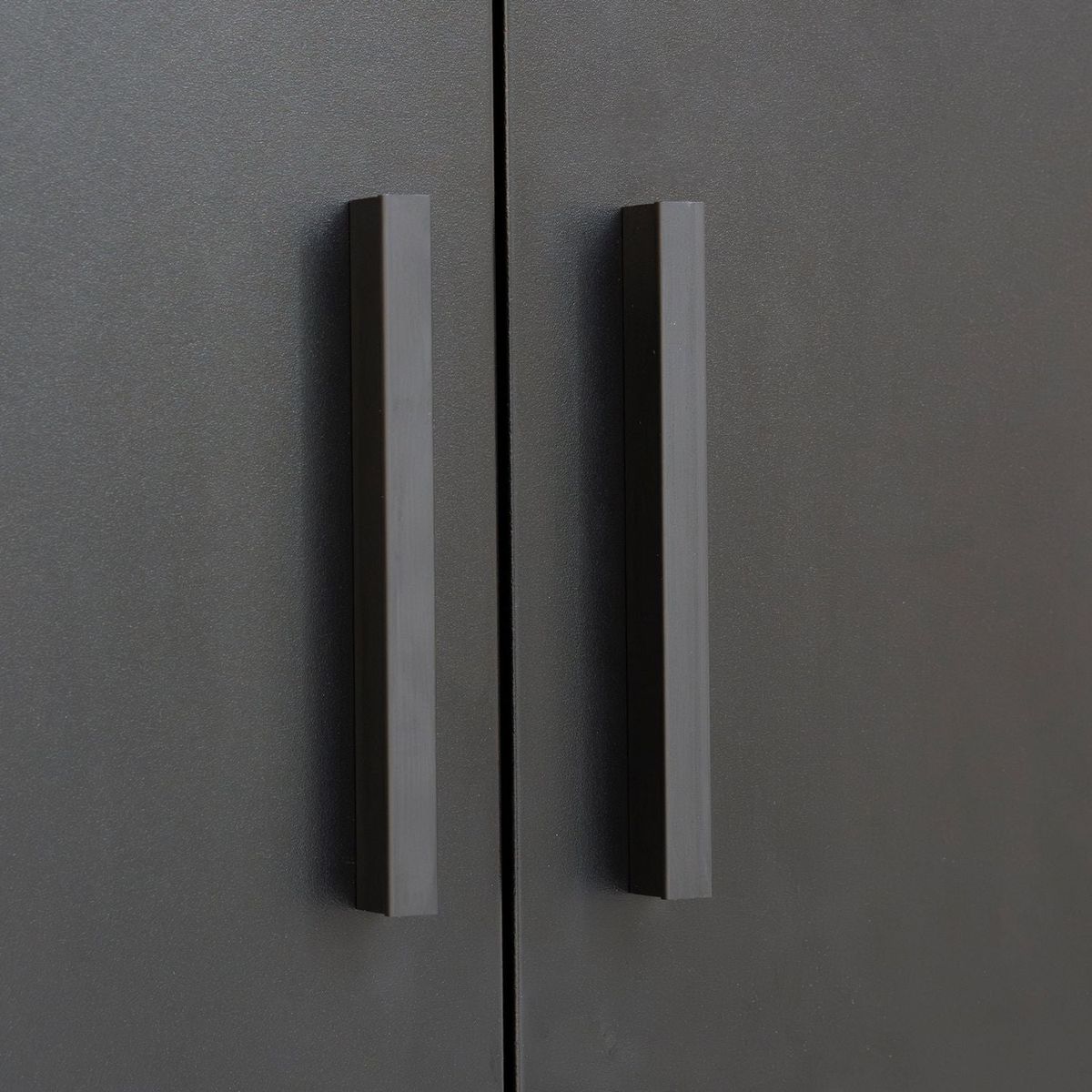 Metal Storage Cabinet with 2 Doors and 2 Adjustable Shelves, Steel Lockable Garage Storage Cabinet, Metal File Cabinet for Home Office School Gym, Black