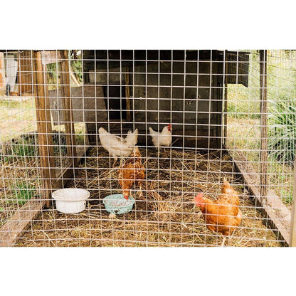 Hardware Cloth 1/2 inch 48in x 100ft 19 Gauge, Hot-dip Galvanized After Welding Chicken Wire Fence Roll Garden Plant Welded Metal Wire Fencing Roll, Rabbit Cages Snake Fence