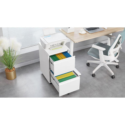 Metal 2 Drawer Mobile File Cabinet with Lock, Under Desk Office Steel Filing Cabinet, 25.6"H Legal/Letter Size Files Storage Cabinet,Black