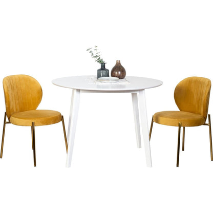 Amoa Contemporary 3-Piece Dining Set, White Round Dining Table with 2 Chairs