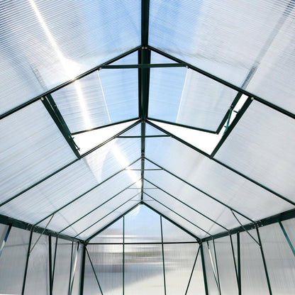 6.3'x12.2'x7' Polycarbonate Greenhouse, Heavy Duty Outdoor Aluminum Walk-in Green House Kit with Rain Gutter, Vent and Door for Backyard Garden, color green