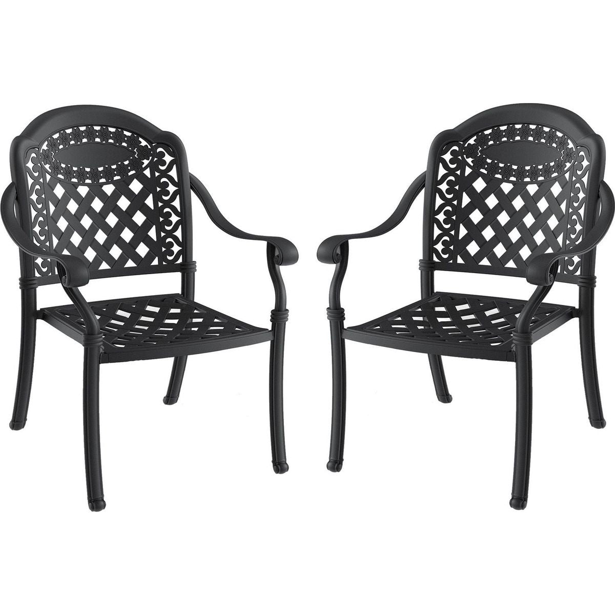 Cast Aluminum Patio Dining Chair 2PCS With Black Frame and Cushions In Random Colors