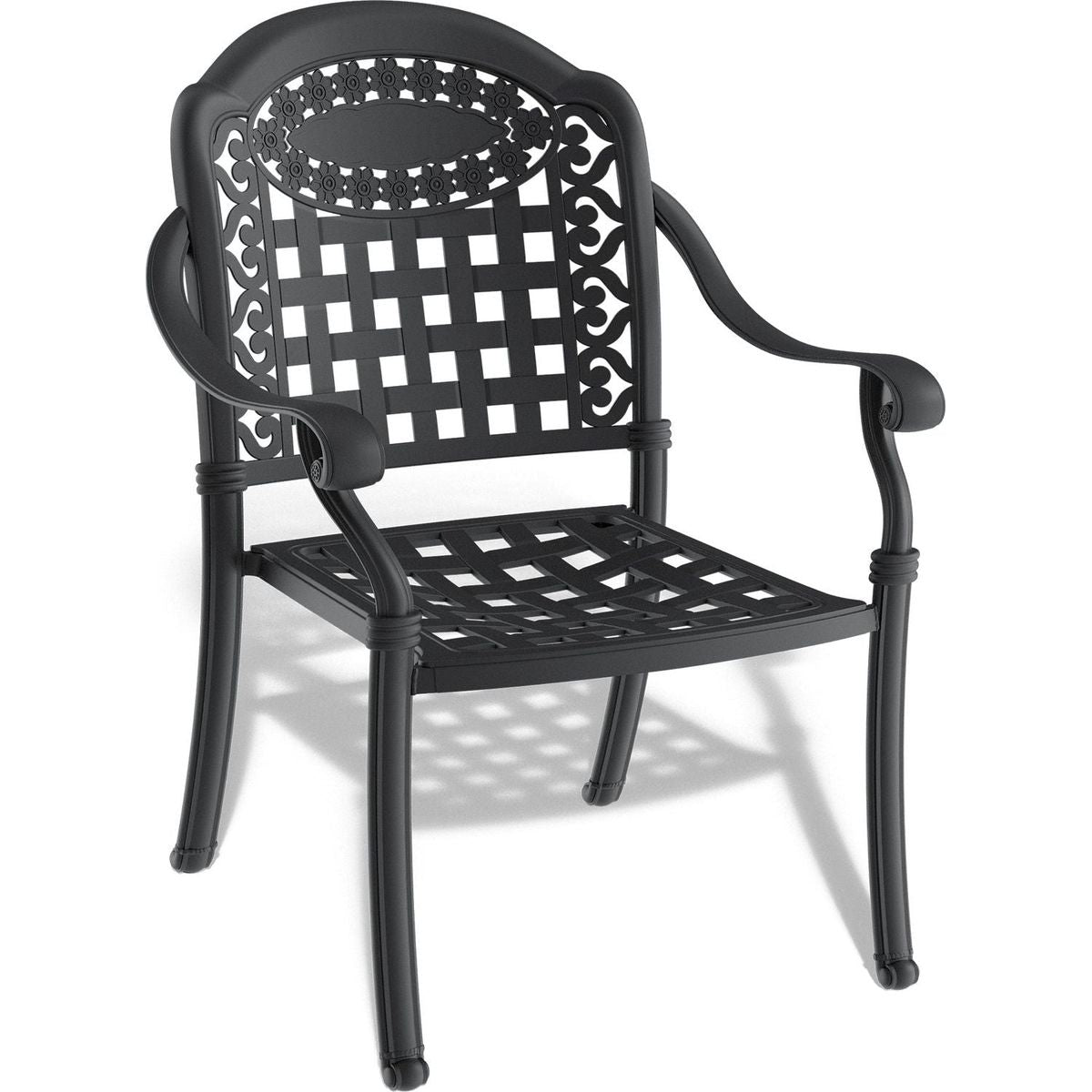 Cast Aluminum Patio Dining Chair 2PCS With Black Frame and Cushions In Random Colors