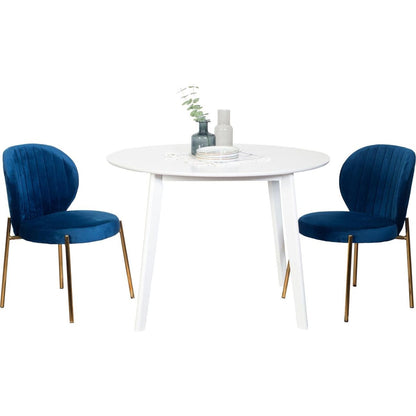 Amoa Contemporary 3-Piece Dining Set, White Round Dining Table with 2 Chairs