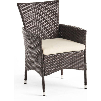 Clementine Outdoor Multibrown PE Wicker Dining Chairs (Set of 2)