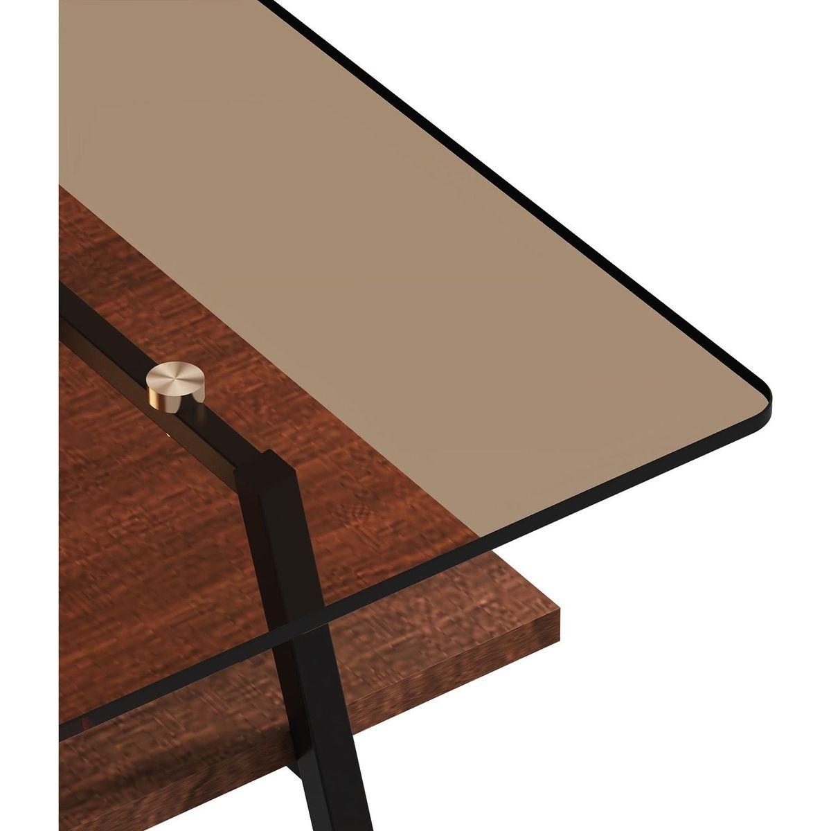 Rectangle Coffee Table, Tempered Glass Tabletop with Black Metal Legs, Modern Table for Living Room, Brown Glass