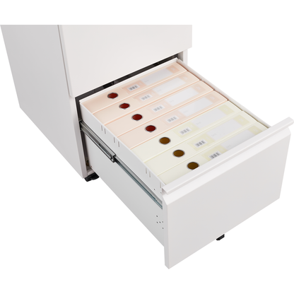 Metal 2 Drawer Mobile File Cabinet with Lock, Under Desk Office Steel Filing Cabinet, 25.6"H Legal/Letter Size Files Storage Cabinet,Black