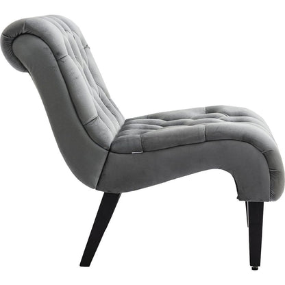 Accent Living Room Chair / Leisure Chair