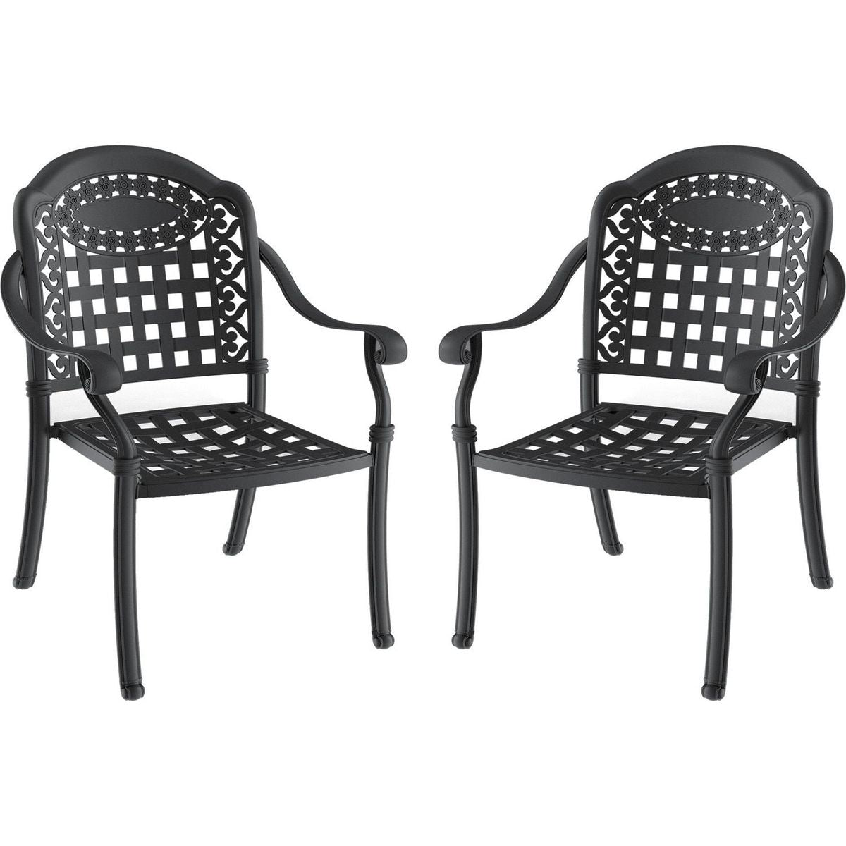 Cast Aluminum Patio Dining Chair 2PCS With Black Frame and Cushions In Random Colors