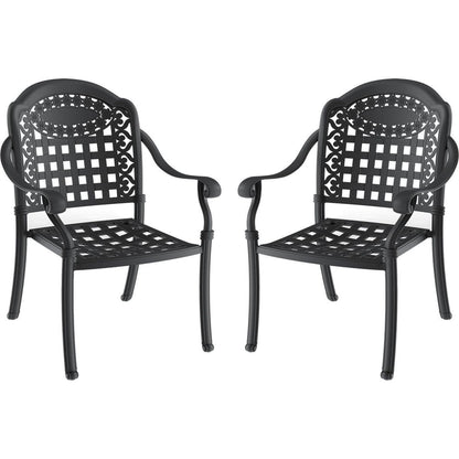 Cast Aluminum Patio Dining Chair 2PCS With Black Frame and Cushions In Random Colors