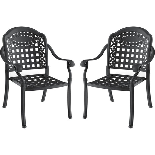 Cast Aluminum Patio Dining Chair 2PCS With Black Frame and Cushions In Random Colors