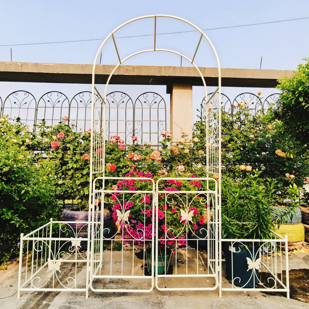 Metal Garden Arch with Gate 79.5'' Wide x 86.6'' High Climbing Plants Support Rose Arch Outdoor Cream White