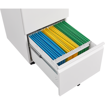 Metal 2 Drawer Mobile File Cabinet with Lock, Under Desk Office Steel Filing Cabinet, 25.6"H Legal/Letter Size Files Storage Cabinet,Black