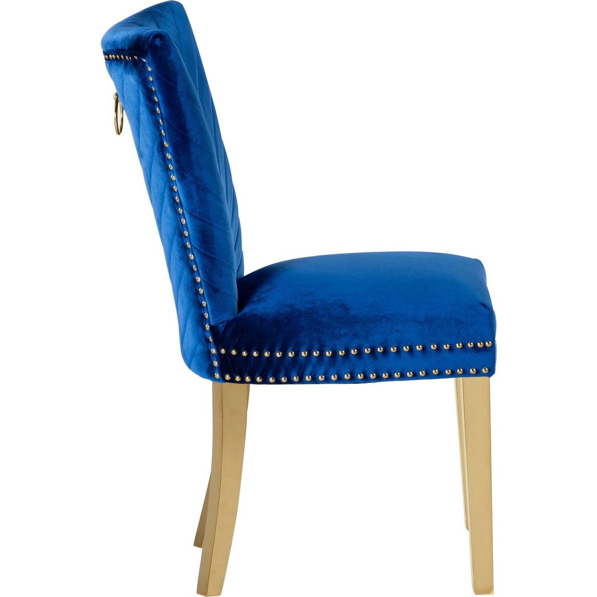 Eva 2 Piece Gold Legs Dining Chairs Finished with Velvet Fabric in Blue