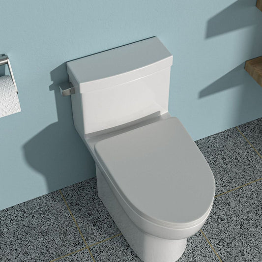 Ceramic One Piece Toilet, Single Flush with Soft Clsoing Seat