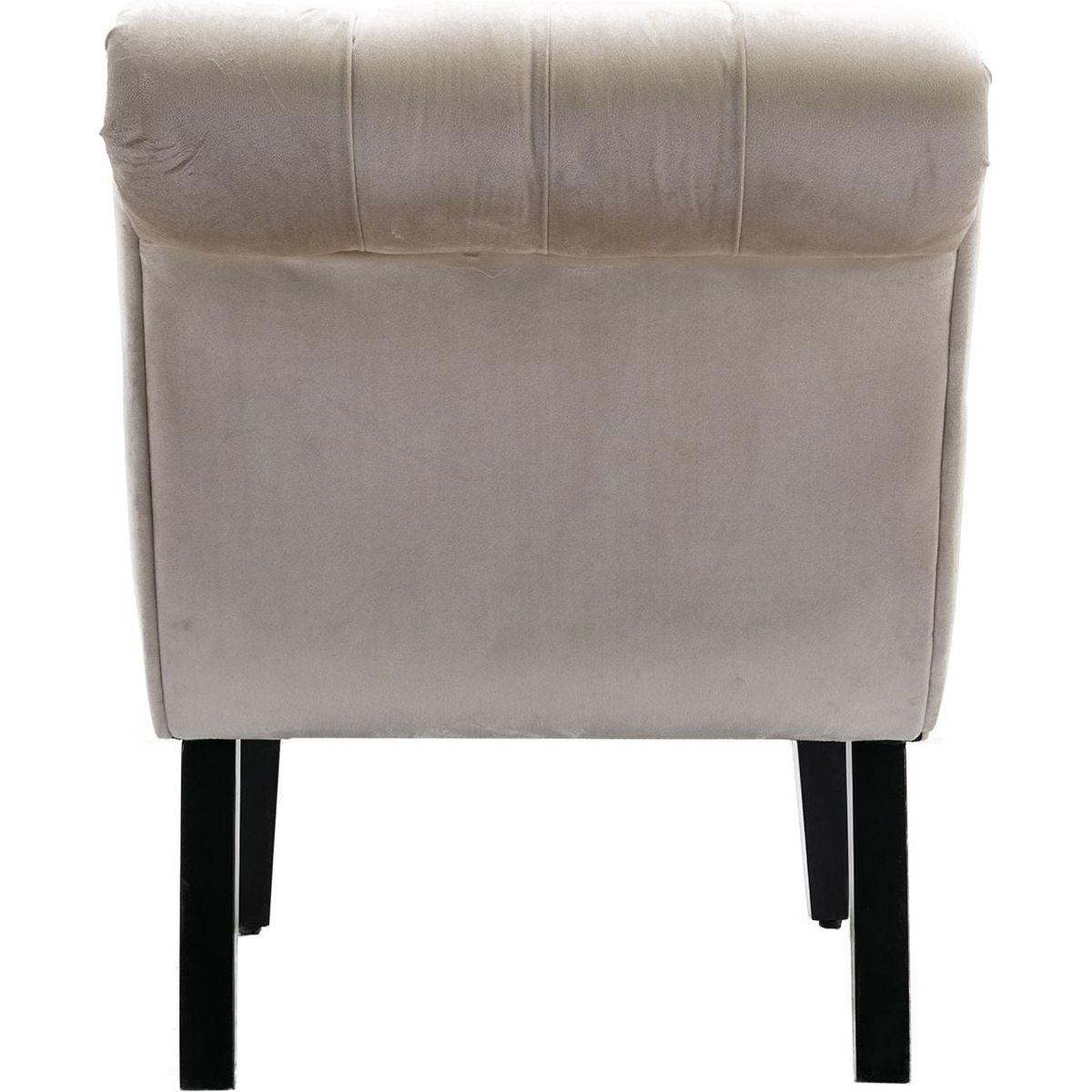 Accent Living Room Chair / Leisure Chair